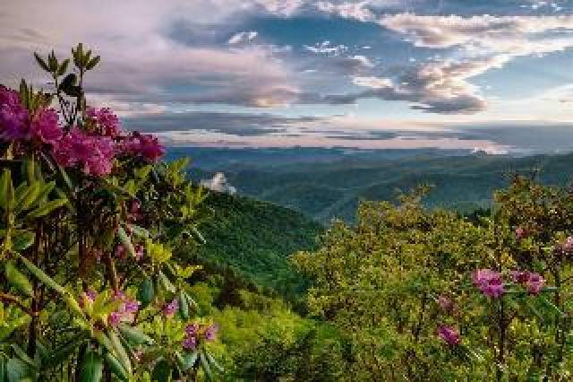 Vista General