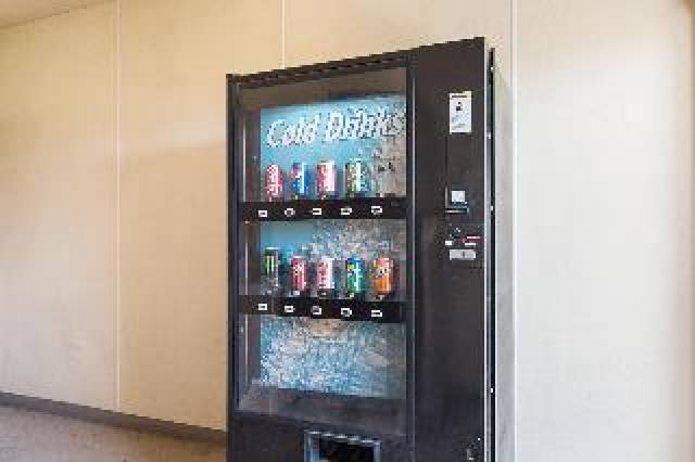 Desportos y Entretenimento