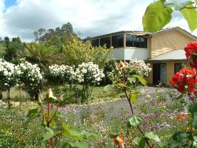 Vista General