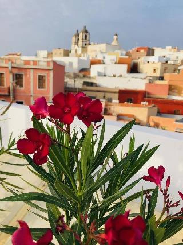 Terraço
