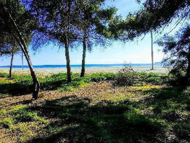 Praia