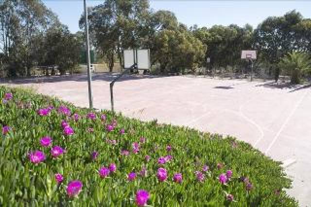 Desportos y Entretenimento