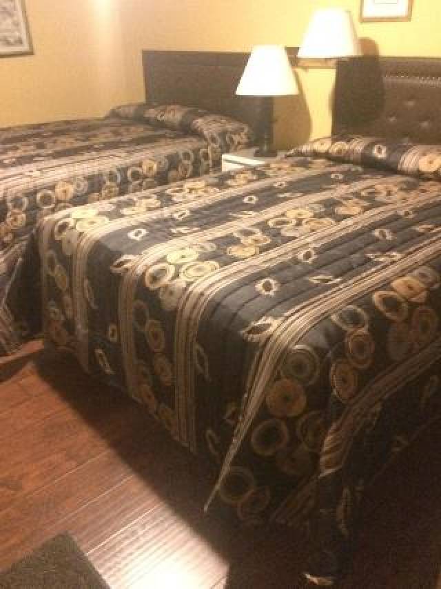 Quarto