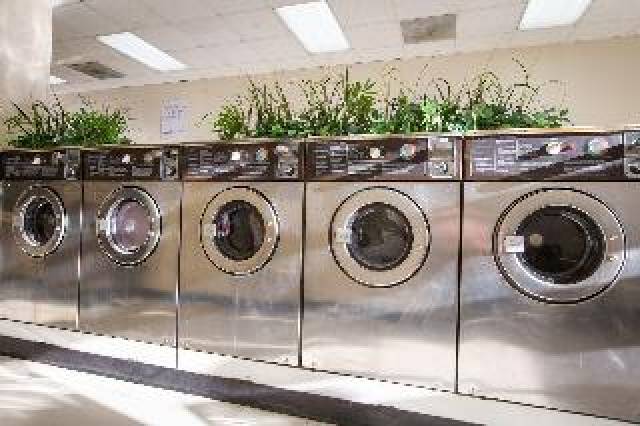 Desportos y Entretenimento