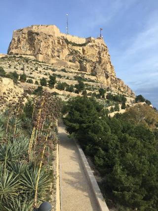 Vista General