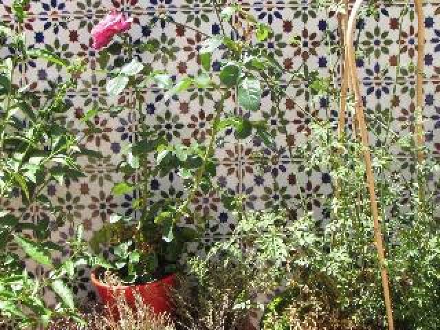 Terraço