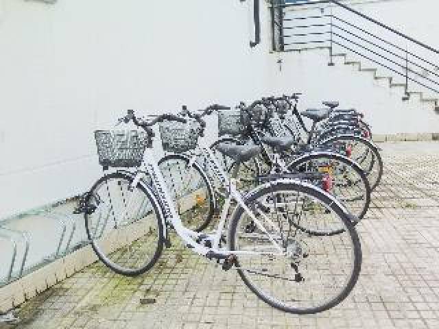 Desportos y Entretenimento