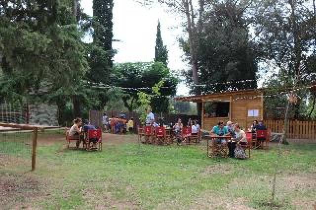 Desportos y Entretenimento