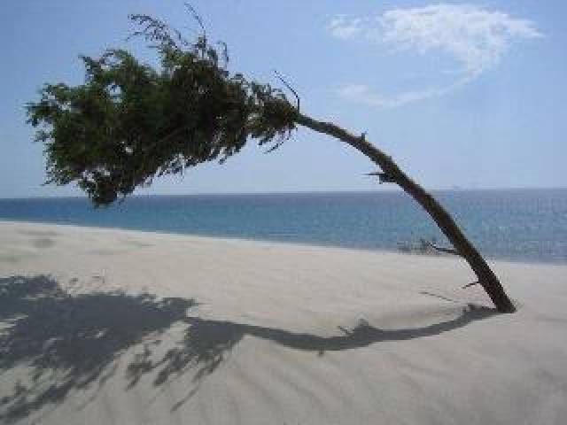 Praia