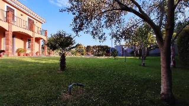 Desportos y Entretenimento