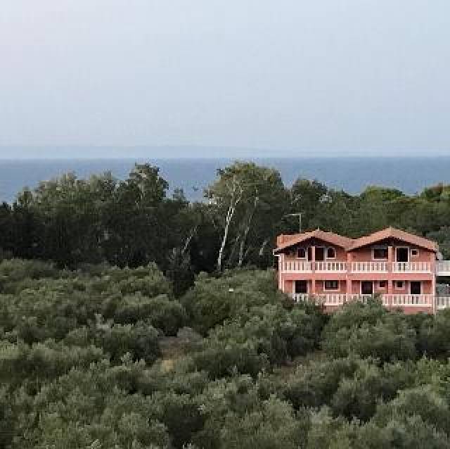 Vista General