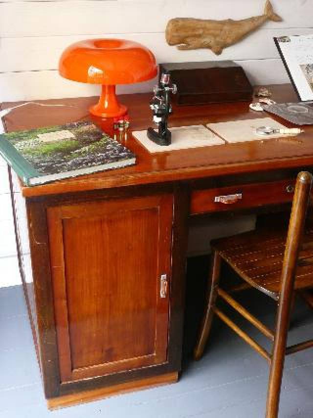 Quarto