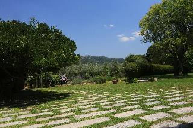 Vista General