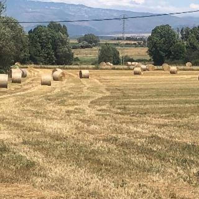 Desportos y Entretenimento