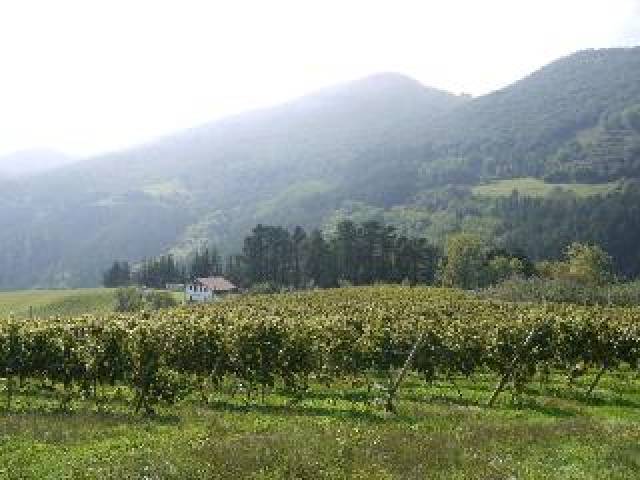 Vista General