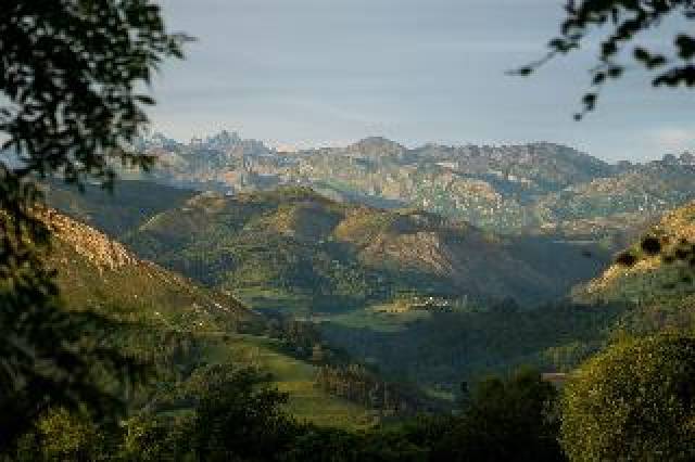 Vista General