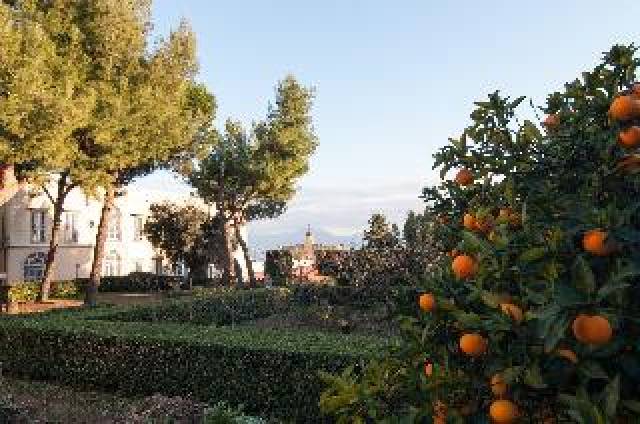 Desportos y Entretenimento
