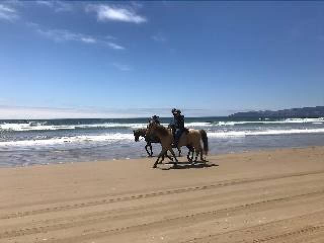 Praia
