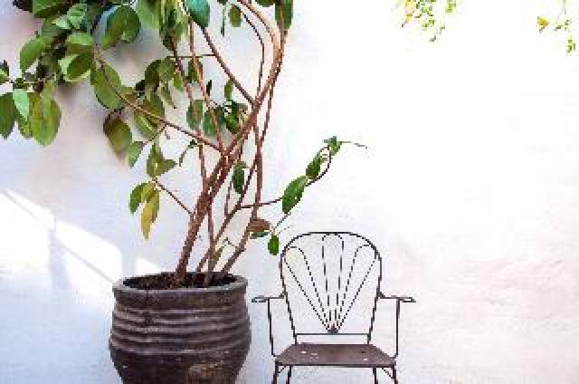 Terraço