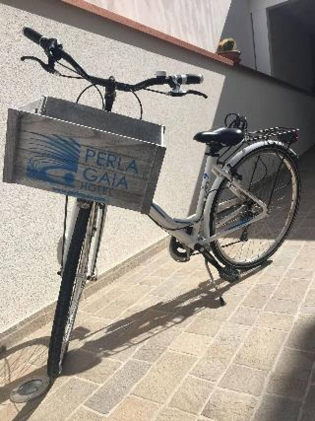 Desportos y Entretenimento
