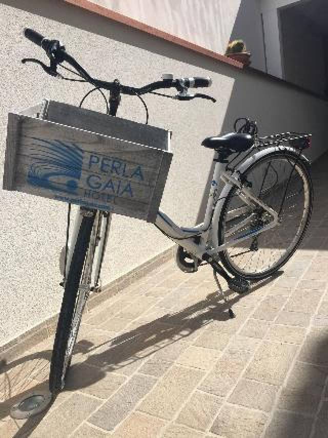 Desportos y Entretenimento