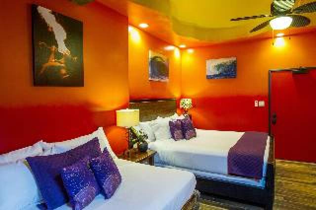 Quarto