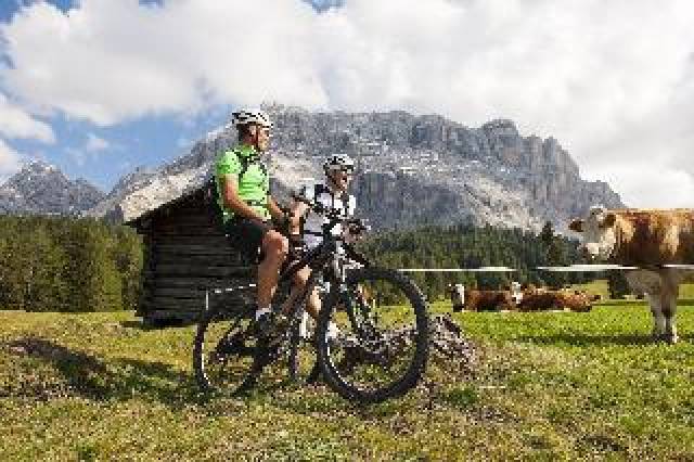 Desportos y Entretenimento