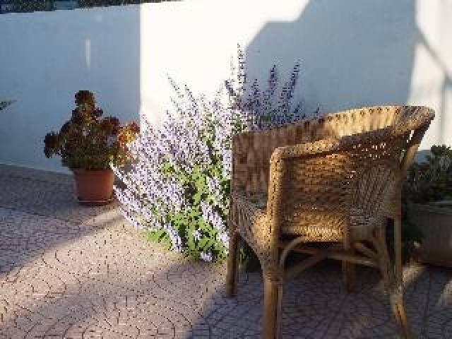 Terraço