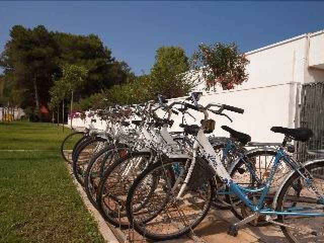 Desportos y Entretenimento