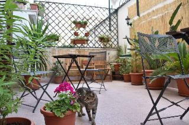 Terraço