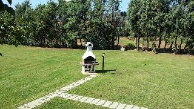 Desportos y Entretenimento