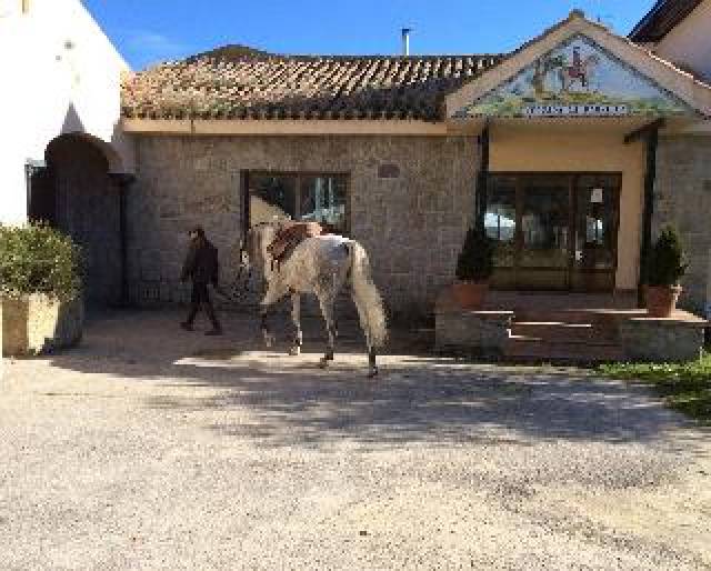 Desportos y Entretenimento
