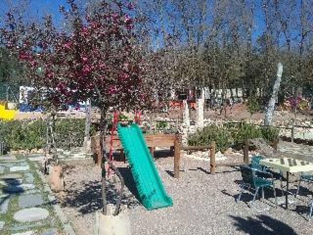 Desportos y Entretenimento