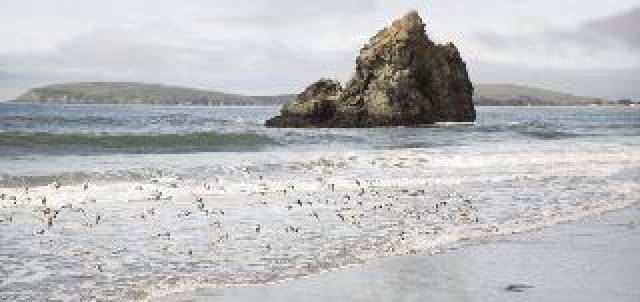 Praia