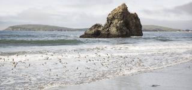 Praia