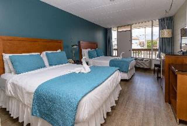 Quarto