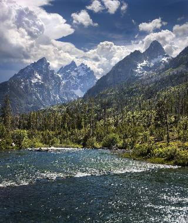 Vista General