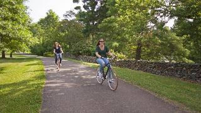 Desportos y Entretenimento