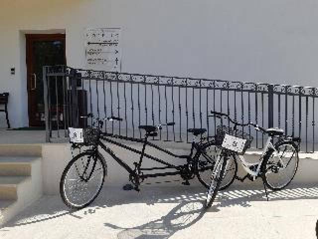 Desportos y Entretenimento