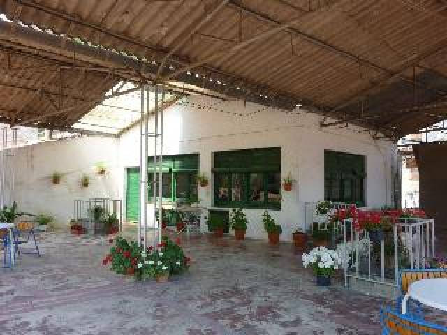 Terraço
