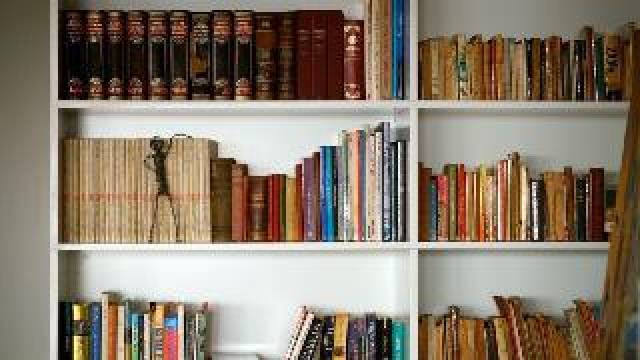 Desportos y Entretenimento