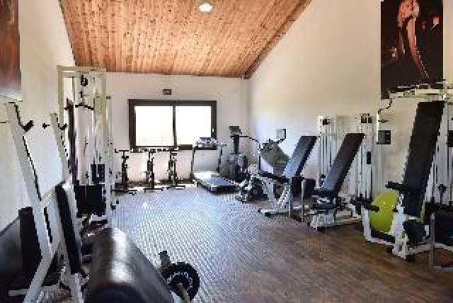 Desportos y Entretenimento