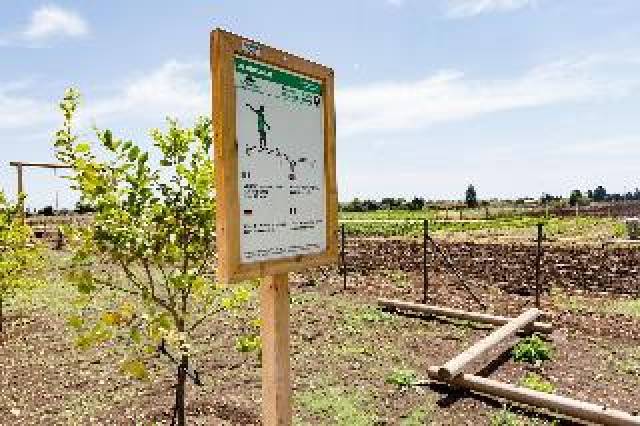Vista General