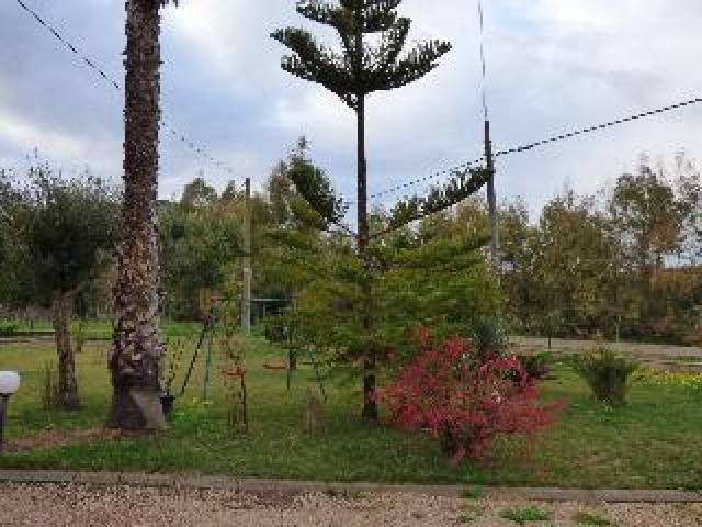 Desportos y Entretenimento