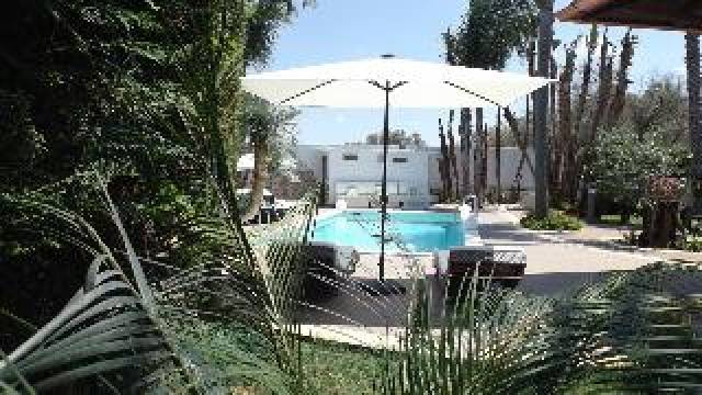 Desportos y Entretenimento