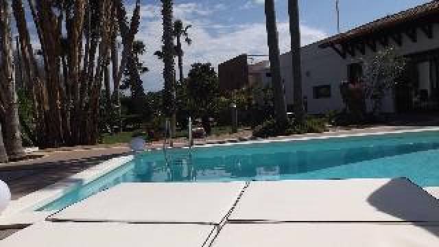 Desportos y Entretenimento