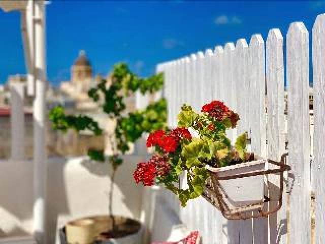 Terraço