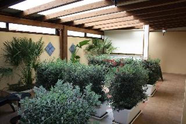 Terraço