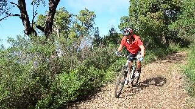 Desportos y Entretenimento
