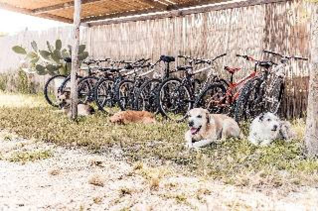 Desportos y Entretenimento